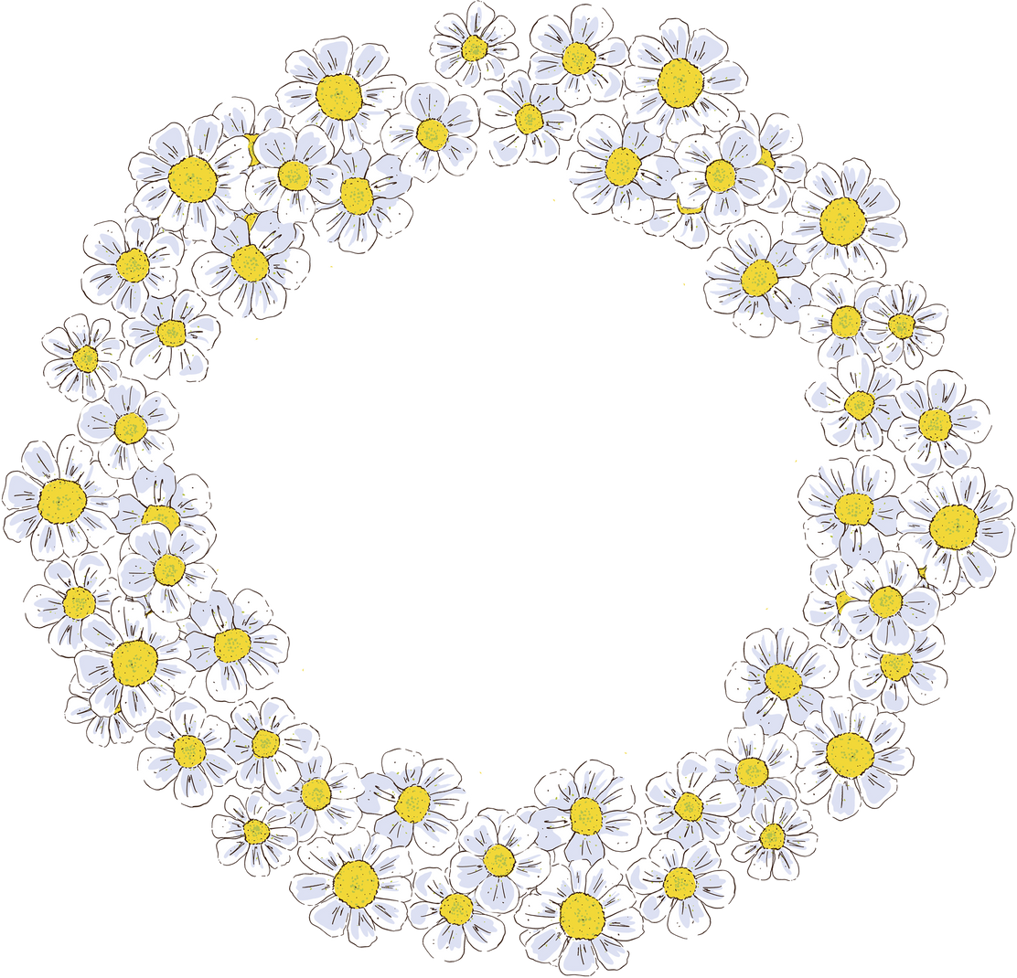 Flowers background, wreath of daisy