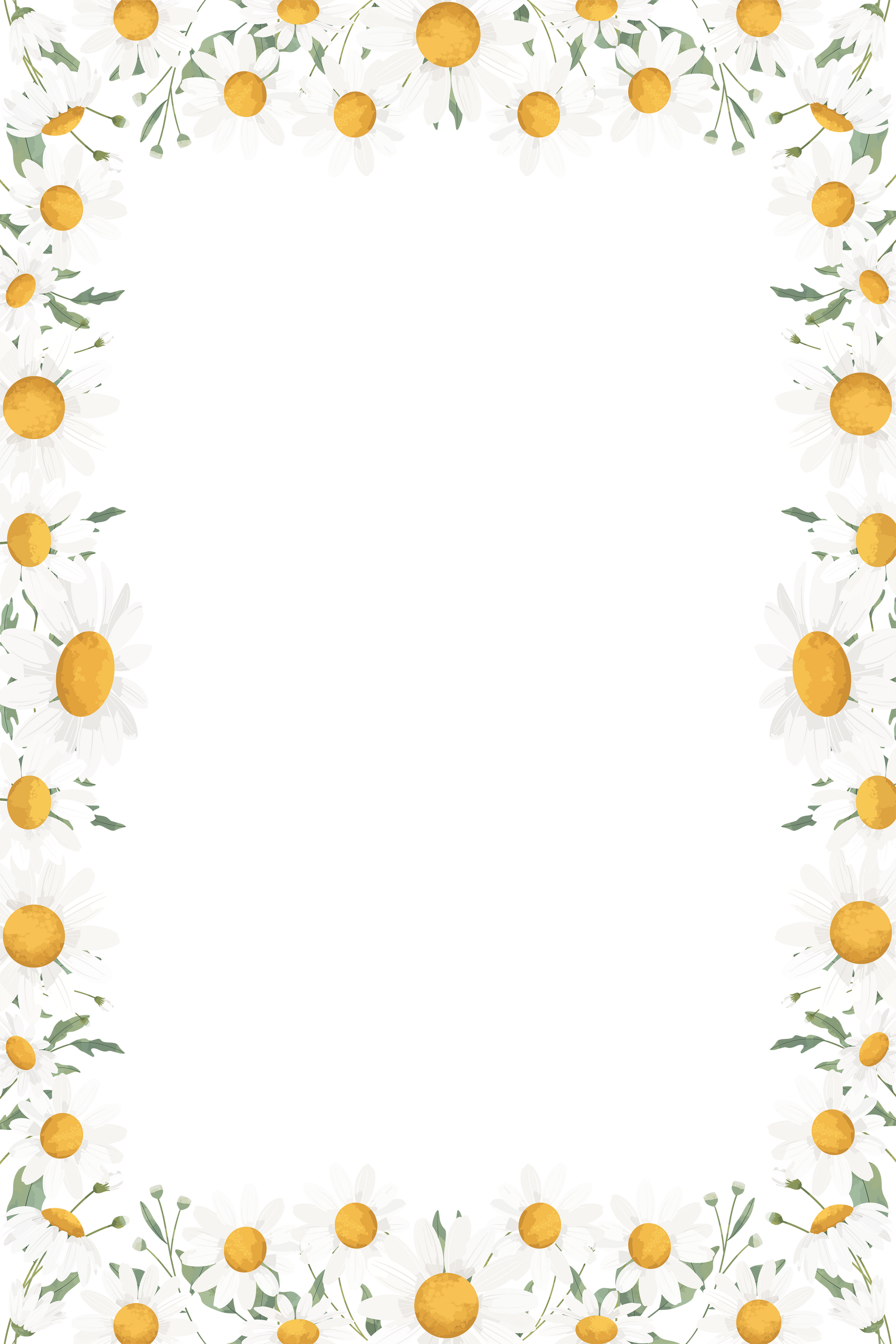 Daisy Flower Frame Background